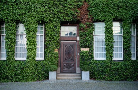 benefícios de morar em uma casa com fachada verde